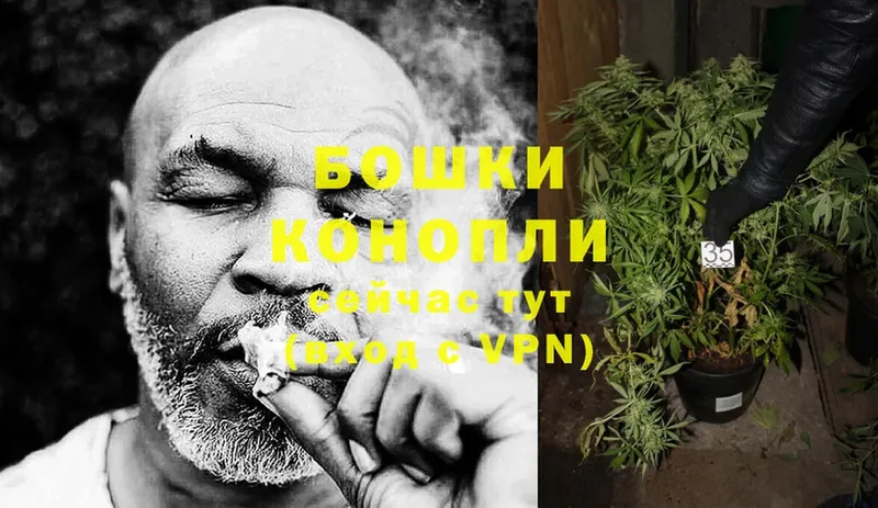 кракен   Оса  Канабис SATIVA & INDICA 